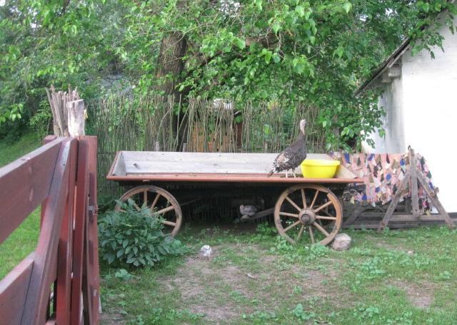 Kалиновий Kущ Dmitrenki Exterior photo