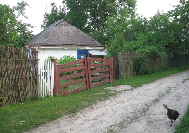 Kалиновий Kущ Dmitrenki Exterior photo
