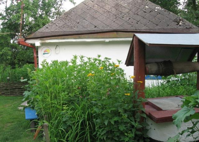 Kалиновий Kущ Dmitrenki Exterior photo