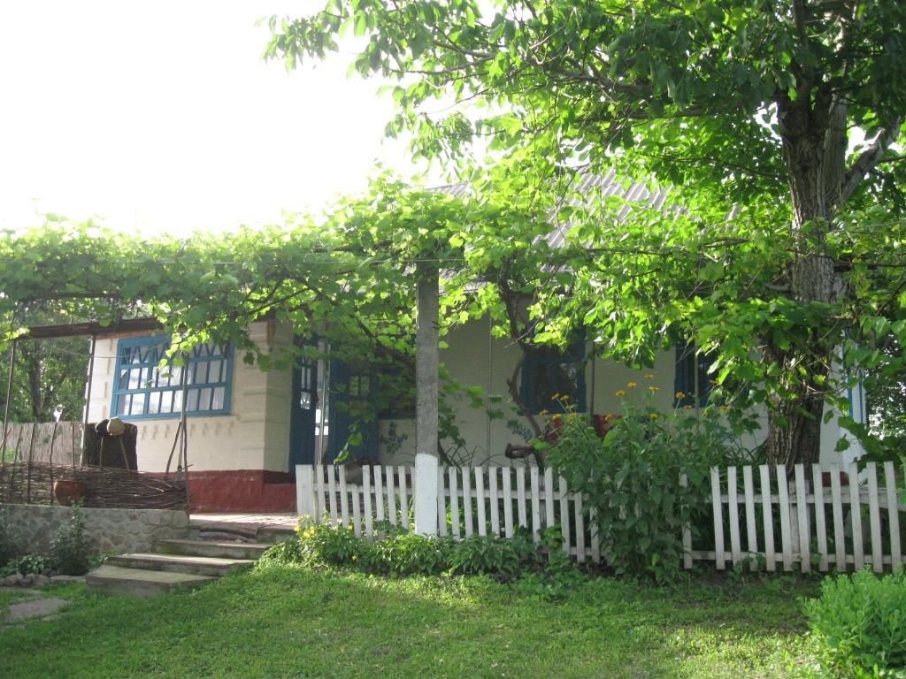 Kалиновий Kущ Dmitrenki Exterior photo
